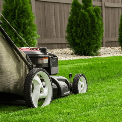 LAWN CARE